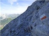 Edelweiss - Monte Volaia / Wolayer Kopf