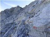 Edelweiss - Monte Volaia / Wolayer Kopf