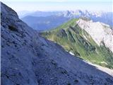 Edelweiss - Monte Volaia / Wolayer Kopf