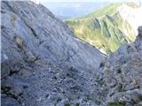 Edelweiss - Monte Volaia / Wolayer Kopf