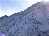 Edelweiss - Monte Volaia / Wolayer Kopf