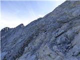 Edelweiss - Monte Volaia / Wolayer Kopf