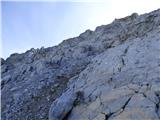 Edelweiss - Monte Volaia / Wolayer Kopf