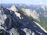 Edelweiss - Monte Volaia / Wolayer Kopf