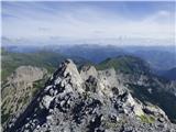 Edelweiss - Monte Volaia / Wolayer Kopf