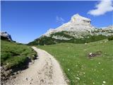 Capanna Alpina - Vallon Bianco