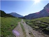 Capanna Alpina - Vallon Bianco