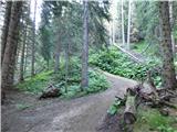 Passo Campolongo - Rifugio Incisa