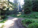 Passo Campolongo - Rifugio Punta Trieste