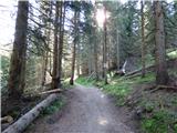 Passo Campolongo - Rifugio Punta Trieste