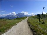 Passo Campolongo - Monte Sief