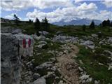 Passo Campolongo - Monte Sief