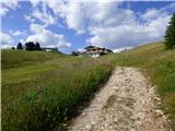 Passo Campolongo - Rifugio Punta Trieste