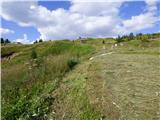 Passo Campolongo - Rifugio Punta Trieste