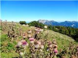 prekrasen pogled z vrha proti Kepi