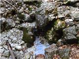 Rateče (Ledine) - Glave
