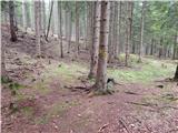 Slovenji Plajberk / Windisch Bleiberg - Veliki Rob / Großer Rain