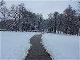 Bled (Velika Zaka) - Lake Bled