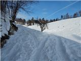 Hotavlje - Kucelj (above Kopačnica)