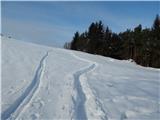 Hotavlje - Kucelj (above Kopačnica)