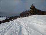 Hotavlje - Kucelj (above Kopačnica)