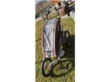voziček za kolo CHARIOT CX1