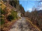 Grahovše - Planina Javornik