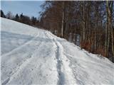 Hotavlje - Kucelj (above Kopačnica)