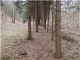 Sotina - Činčev breg