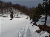 Hotavlje - Kucelj (above Kopačnica)