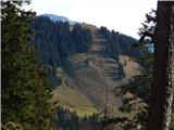 Javorče (1667 m) Veliki Javornik oz. Ženiklovec