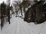 Hotavlje - Kucelj (above Kopačnica)