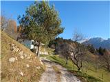 Grahovše - Planina Javornik