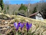 planina Osredek