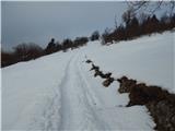 Hotavlje - Kucelj (above Kopačnica)