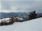 Hotavlje - Kucelj (above Kopačnica)