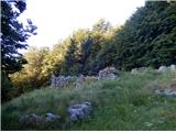 ostanki zidov na zapuščeni in zaraščeni planini Gozdec, ki jo dosežemo po 20 min hoje