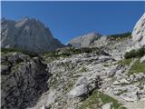 Dovški Gamsovec, Dolkova špica in Kucelj Bivak IV