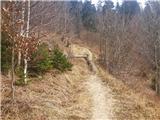 Koroška Bela - Potoška planina