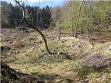 Podmežakla (Jesenice) - Planina Ravne