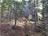 Planina pod Golico - Brdo (climbing area below Golica)