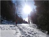kamor posije sonce se še bolj udira..