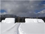 Planina Zajavornik ...med pastirskimi stanovi...