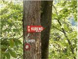 po gozdni cesti poteka tudi planinska peš pot