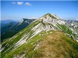 Vrh Planje  1863m koze na paši