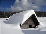 Planina Zajavornik ...ki so pogreznjeni v debelo snežno odejo...