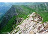 pogled nazaj