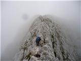 Bavšica - Pelc nad Kloncami - Pod Špičkom - Bavški Grintavec - Bavšica 