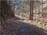 Koroška Bela (RC Kres) - Potoška planina