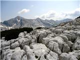 Tolminski Migovec pogled proti Vrhu nad Škrbino